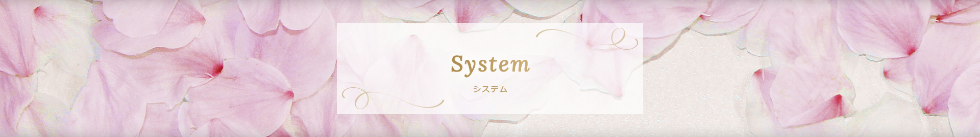 システム