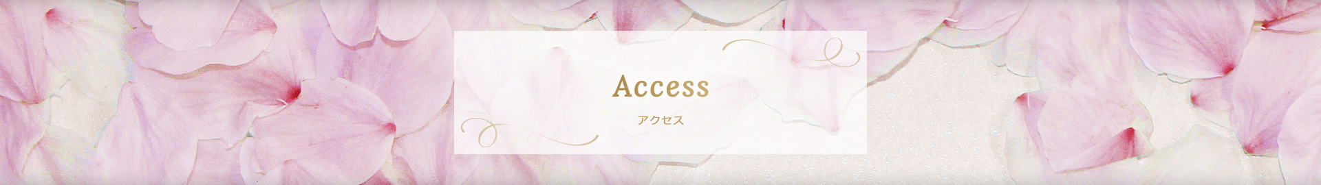 アクセス