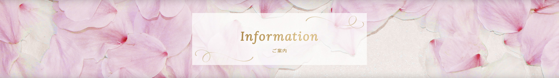 ご案内